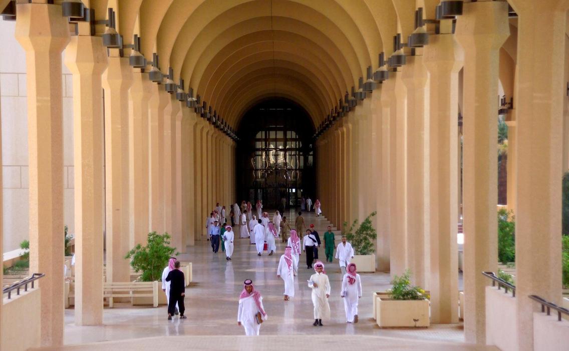 UAE universities 'must boost research to rise up global education rankings'